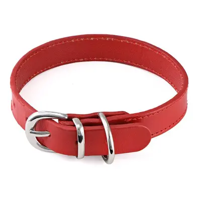 Cat or Dog Large Leather Collar