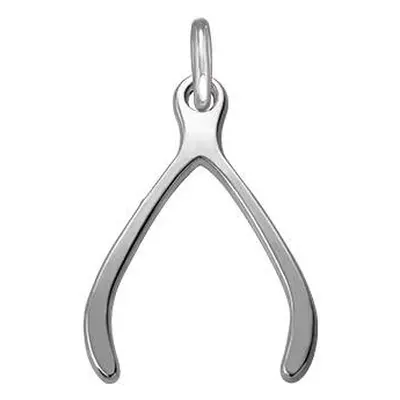 Silver Wishbone Charm