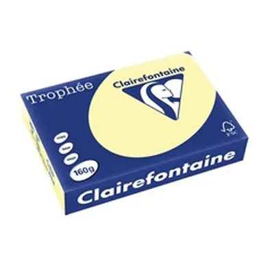 Trophee Card A4 160gm Canary (250 Pack) 2636C