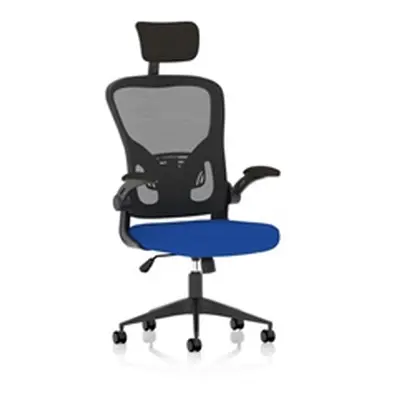 Ace Executive Fabric Seat Stevia Blue Mesh Chair With Folding Arms