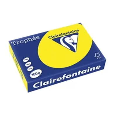 Trophee Card A4 160gm Intensive Yellow (250 Pack) 1029C