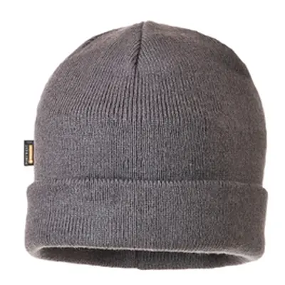 Knit Cap Insulatex Lined (Grey)