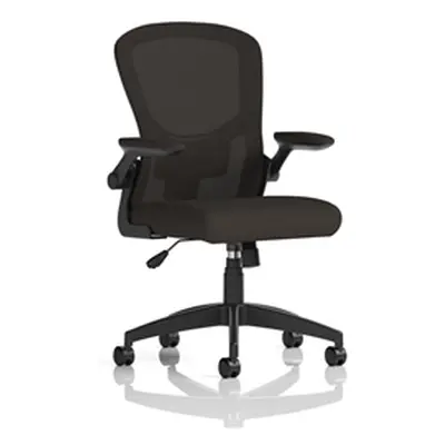 Easton Pro-Comfort Ergonomic High Back Office Chair with Folding Arms