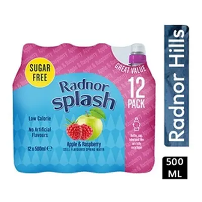 Radnor Splash Sugar Free Apple & Raspberry 12x500ml