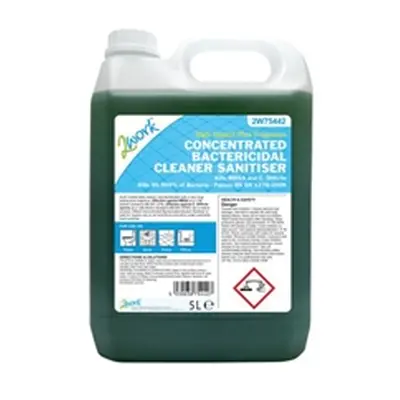 2Work Concentrated Bactericidal Cleaner Sanitiser 5 Litre