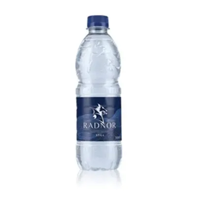 Radnor Hills Still Water 500ml (Pack of 24) RH5STPC