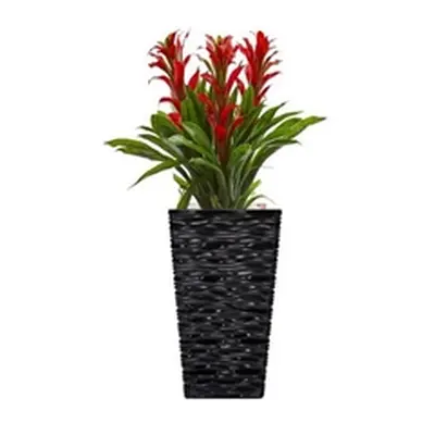 Fixtures Glaze Wave MEDIUM Planter {Black}