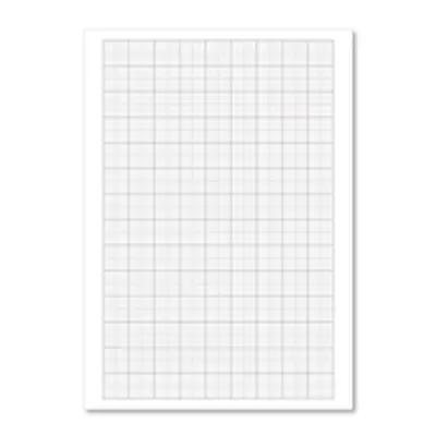 Loose Leaf Graph Paper A4 (500 Pack) 100103410