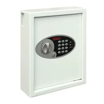 Phoenix Cygnus Key Deposit Safe KS0032E 48 Hook with - KS0032E