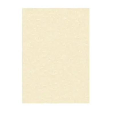 Decadry Parchment Letterhead A4 Paper 95gsm Champagne (100 Pack)