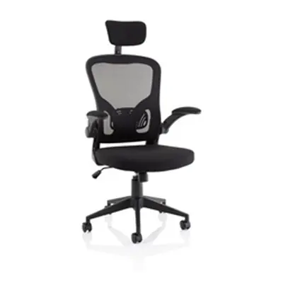 Ace Executive Mesh Chair With Folding Arms