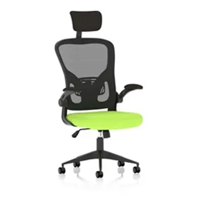 Ace Executive Fabric Seat Myrrh Green Mesh Chair With Folding Arms