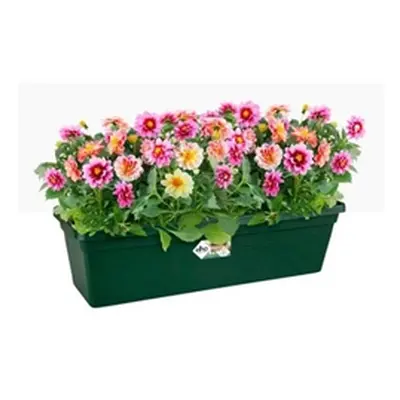 Elho Green Basics Large Trough 60cm LEAF GREEN - PACK (10)