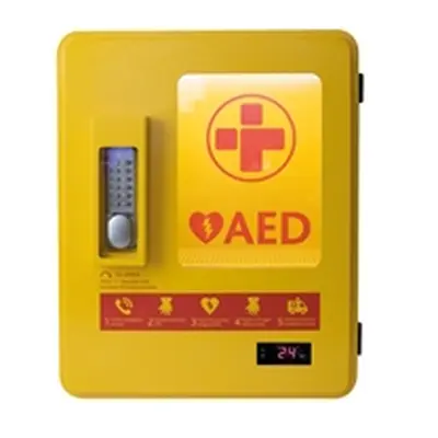 AED Alarmed Outdoor Wall Mountable Heated Metal Cabinet Yellow 2105