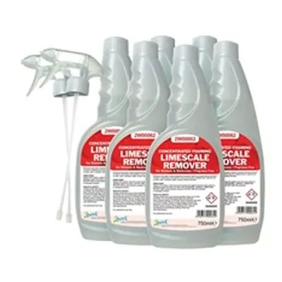 2Work Limescale Remover 750ml (Pack of 6) 524