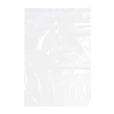 Minigrip Bag 255x355mm Clear (1000 Pack) GL-14