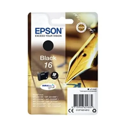 Epson T1621 black ink