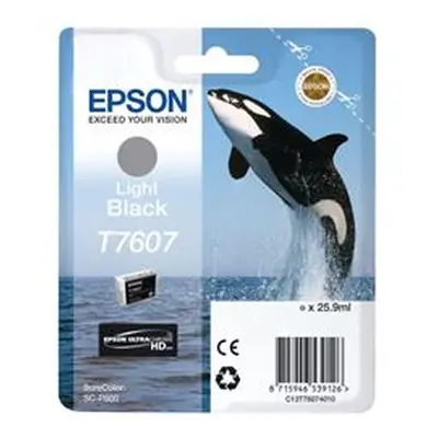 Epson T7607 Ink Cartridge Killer Whale Light Black - C13T76074010