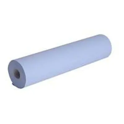 ValueX Hygiene Roll Blue 250mmx 40m