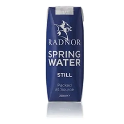 Radnor Still Spring Water 250ml Tetra Pak (Pack of 24) 0201025