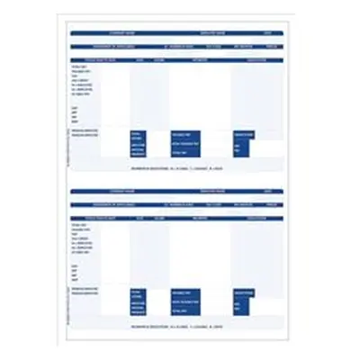 Iris Compatible Payslip 2 Per A4 Sheet [Pack 1000 Payslips] - FY95