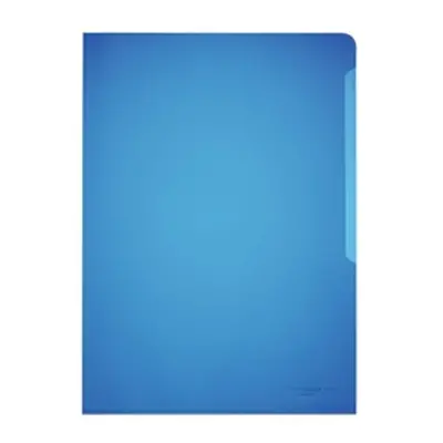 Durable STANDARD Pockets 100 Blue