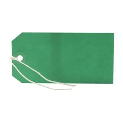 Strung Tag 120x60mm Green (1000 Pack) KF01624