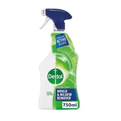 Dettol Mould and Mildew Remover 750ml 71815