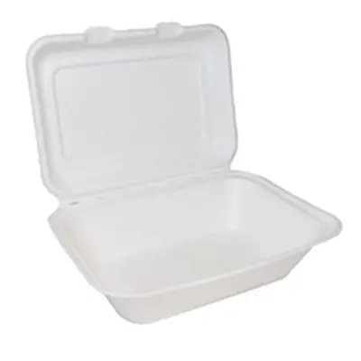 Bagasse Clamshell Meal Box Regular 7x5 Inch White (Pack of 500) D06002