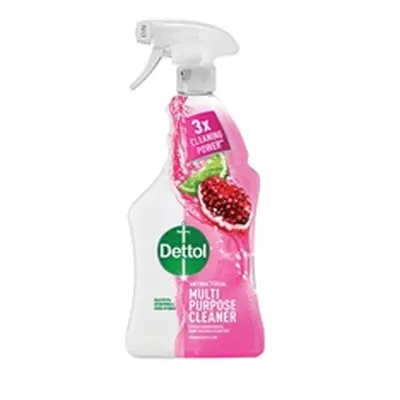 Dettol Antibacterial Cleaner Spray Pomegranate and Lime 1L (Pack 6)