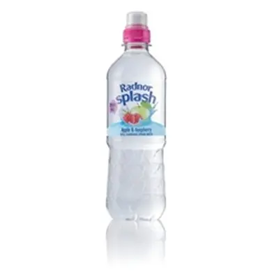 Radnor Hills Splash Still Water Apple Raspberry 500ml (Pack of 24)