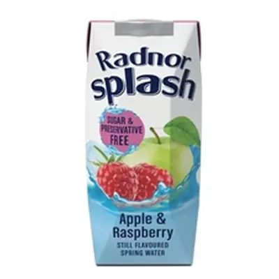 Radnor Hills Splash Water Apple Raspberry 250ml (Pack of 24) 0201067