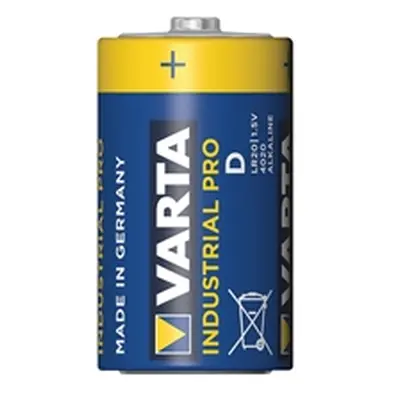 Varta Industrial Pro D Battery (20 Pack) 04020211111