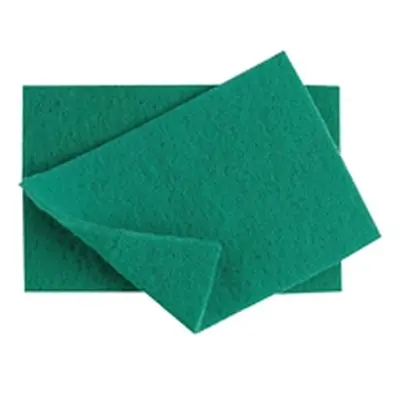 Robert Scott Caterers Scourers Green (Pack of 10) 102446