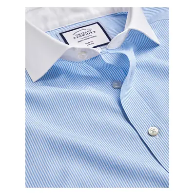 Men's Cutaway Collar Non-Iron Stripe Winchester Cotton Formal Shirt - Sky Blue Single Cuff, by C