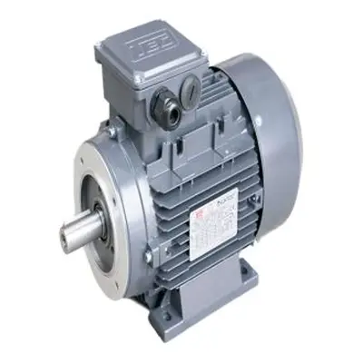 TEC Motors T3A Anti Clockwise, Clockwise AC Motor, 750 W, IE3, 2 Pole, B34 Foot & Face Mounted M