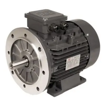 TEC Motors T2A Clockwise AC Motor, 250 W, IE2, 3 Phase, 4 Pole, B35 Foot & Flange Mounted Mounti