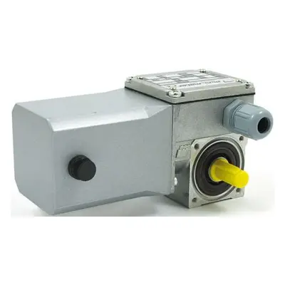 Mini Motor Brushed Geared DC Geared Motor, 37 W, 24 V dc, 5.2 Nm, 35 rpm, 9mm Shaft Diameter