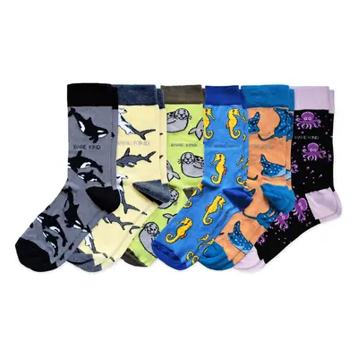 Ocean Rainbow 6 Pack Bamboo Sock Set | UK Adult 4-7