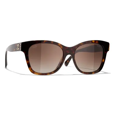 Dark Tortoise/Polarised Brown Gradient / 54