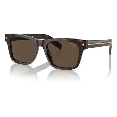 Radica Tortoise/Dark Brown / 51