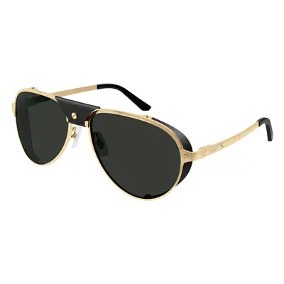 Gold/Grey Polarised / 61