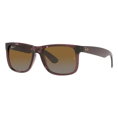 Transparent Dark Brown/Brown Polarised / 55