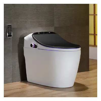 Black One-Piece Floor Mounted Elongated Smart Toilet & Bidet with Seat Horizontal Outlet