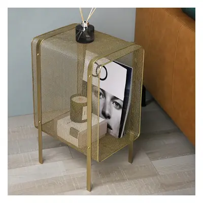 550mm Modern Metal Rectangular Gold Magazine Rack with Open Storage Living Room & Office