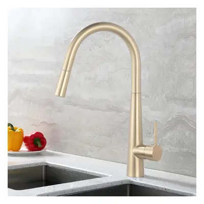 Monobloc High Arc Pullout Kitchen Mixer Tap Solid Brass in Gold