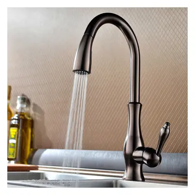 Tracier Gooseneck Single Lever Handle Kitchen Tap with Pull Out Spray