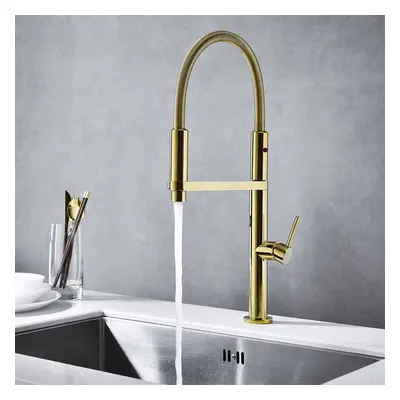 Monobloc High Arc Magnetic Kitchen Mixer Tap Dual-function Spray in Gold