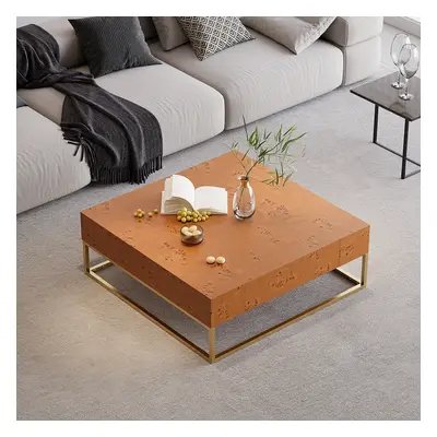 Modern 1000mm Wooden Burl Coffee Table Square with 2 Drawers in Gold Frame