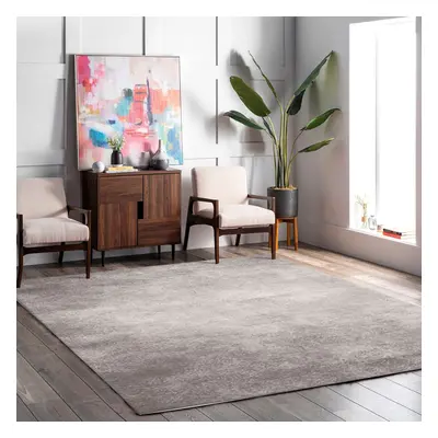 1500mm × 2400mm Minimalist Gray Rectangle Area Rug